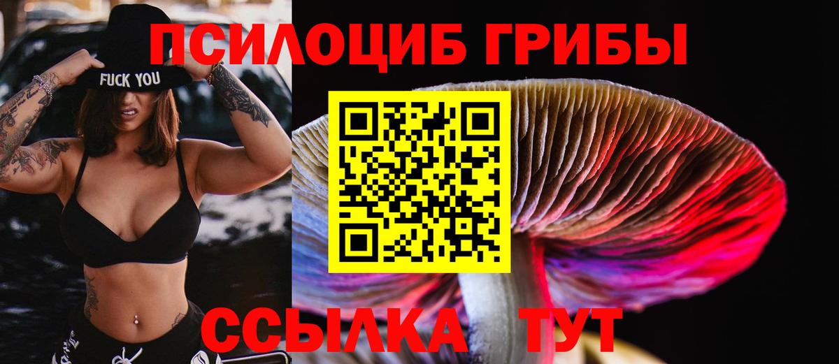 Псилоцибиновые грибы прущие грибы Верхняя Пышма
